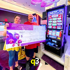 A Experiência Imersiva dos Cassinos Ao Vivo no q3